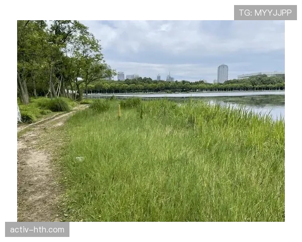 上海海港世纪公园焕新亮相，打造都市休闲新地标